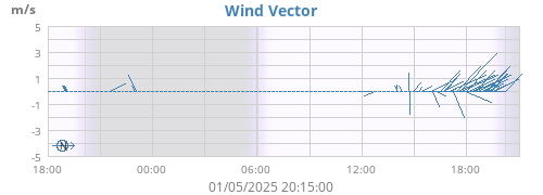 Wind Vector