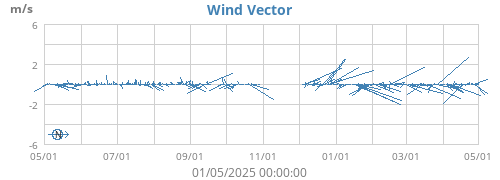 Wind Vector